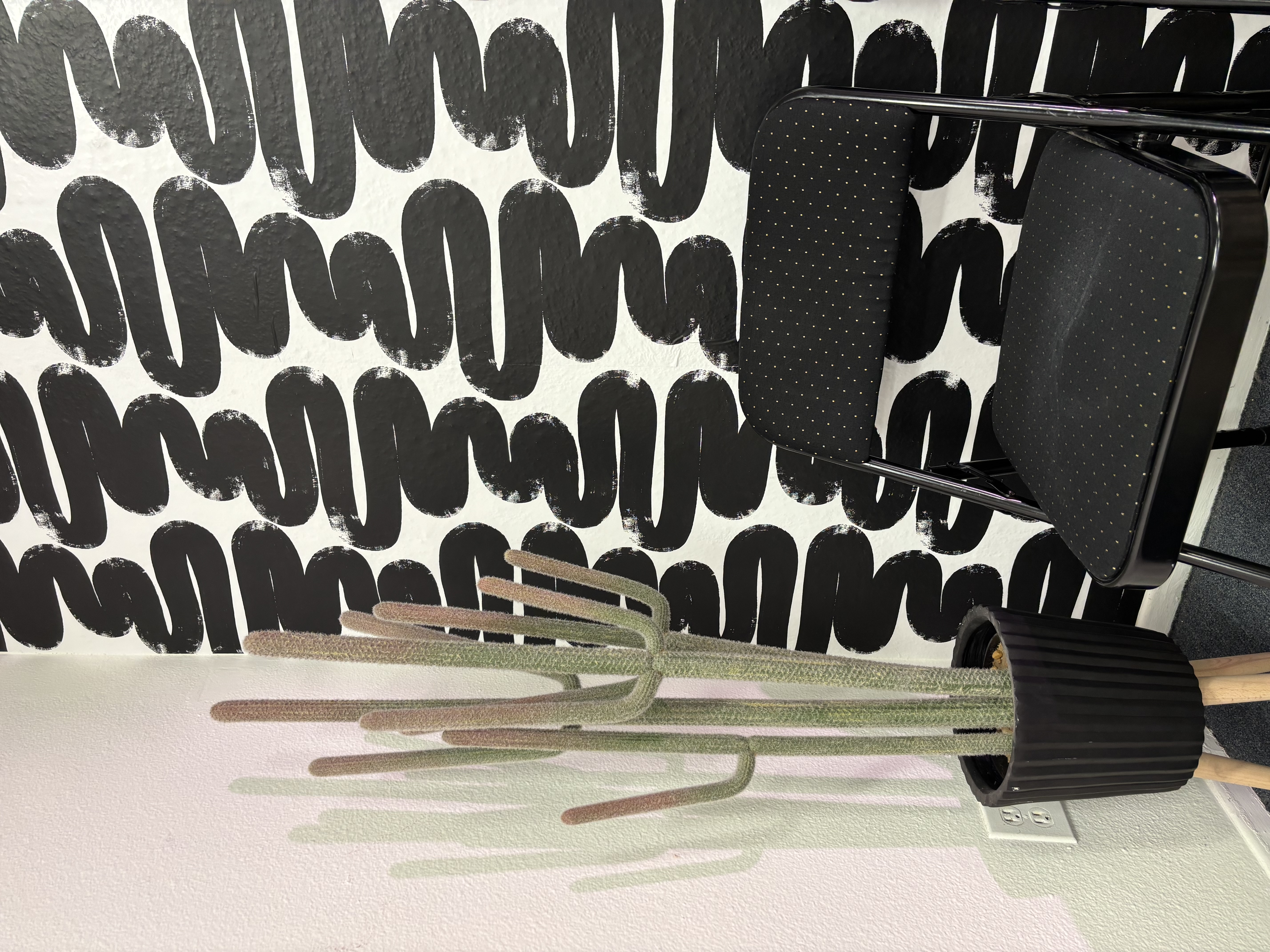 Multi-use creative studio space in North Hollywood